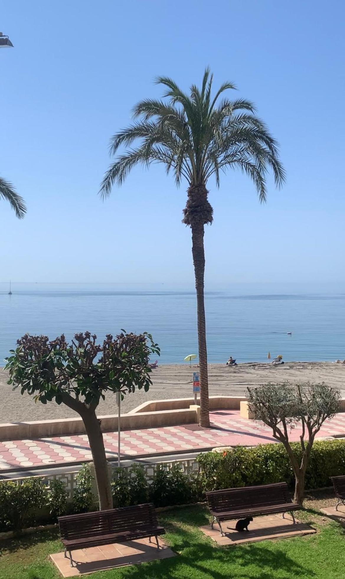 Brisas Del Mar Mediterraneo Aguadulce  Dış mekan fotoğraf